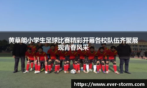 黄草朗小学生足球比赛精彩开幕各校队伍齐聚展现青春风采