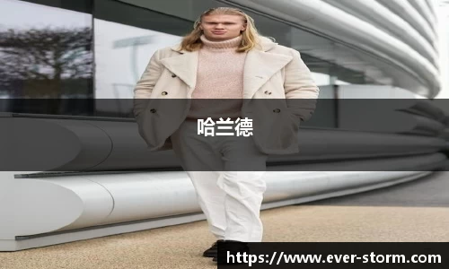 哈兰德