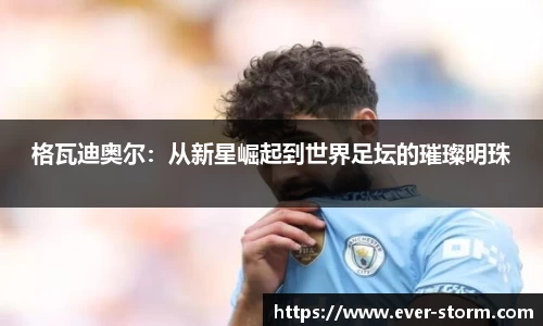 格瓦迪奥尔：从新星崛起到世界足坛的璀璨明珠